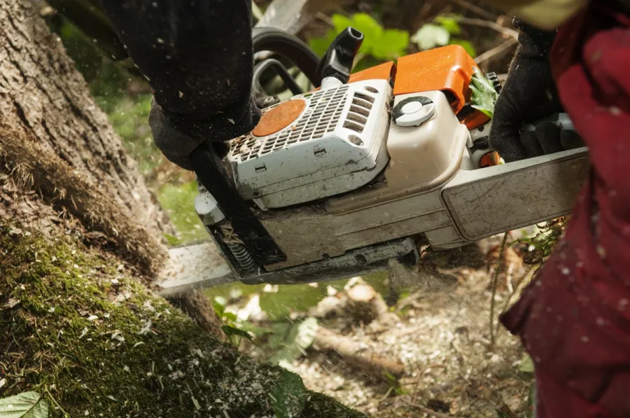 How Tree Removal Protects Your Home And Landscape Shelbyville, KY How Tree Removal Protects Your Home And Landscape Shelbyville, KY